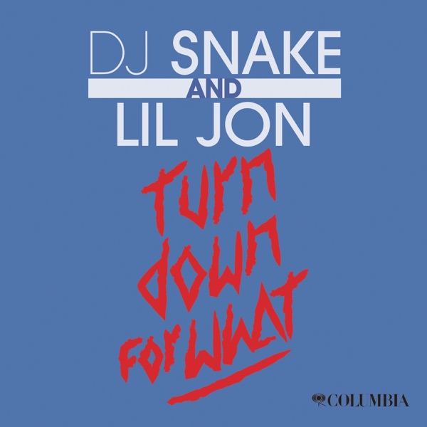 Turn Down for What - Single album art